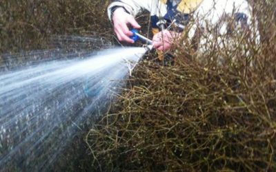 Sådan åbner vi vandet i haven