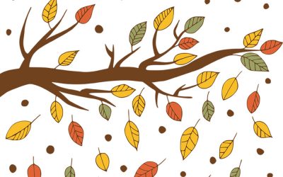 Sådan lukker du for vandet