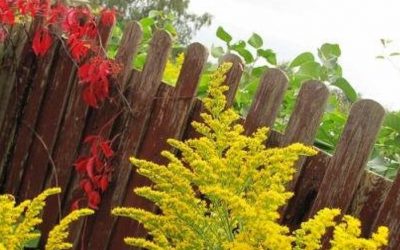 Med vintertiden slutter sæsonen…