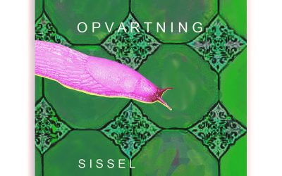 Sommerlæsning: Ny Novellesamling om Kolonihavelivet